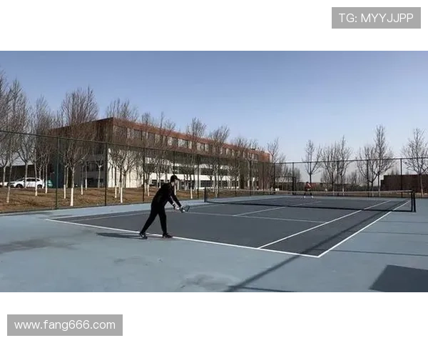 北京网球队全新盯防策略揭秘助力球队崛起与竞技水平提升