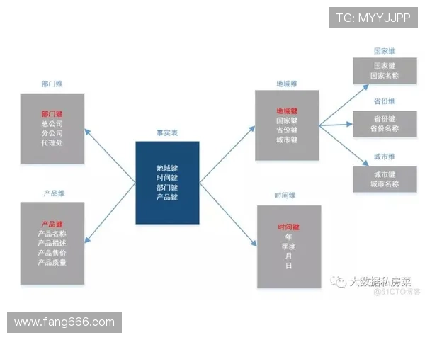 杭州排球队配合表现的数据分析与战术探讨