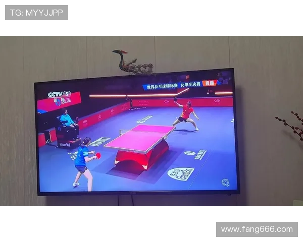 赛后分析：上海乒乓球队与深圳乒乓球队的默契配合与战术探讨