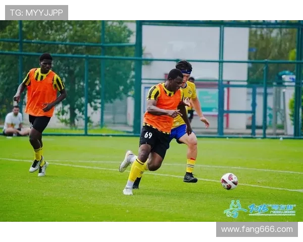 最新足球明星题材电影推荐让你领略绿茵场上的精彩与激情