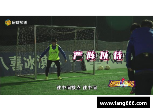 海外华人足球：星途与挑战