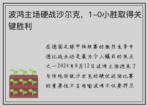 波鸿主场硬战沙尔克，1-0小胜取得关键胜利