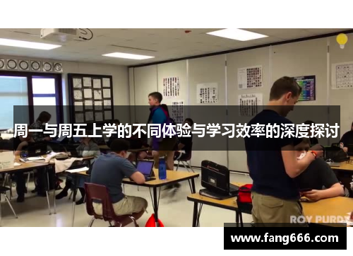 周一与周五上学的不同体验与学习效率的深度探讨
